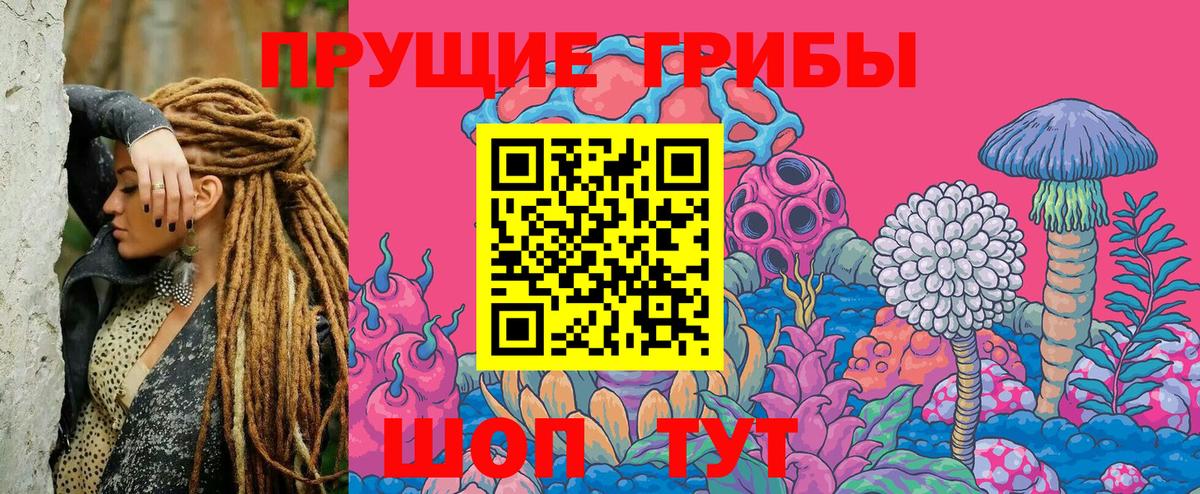 Галлюциногенные грибы Psilocybine cubensis Среднеуральск
