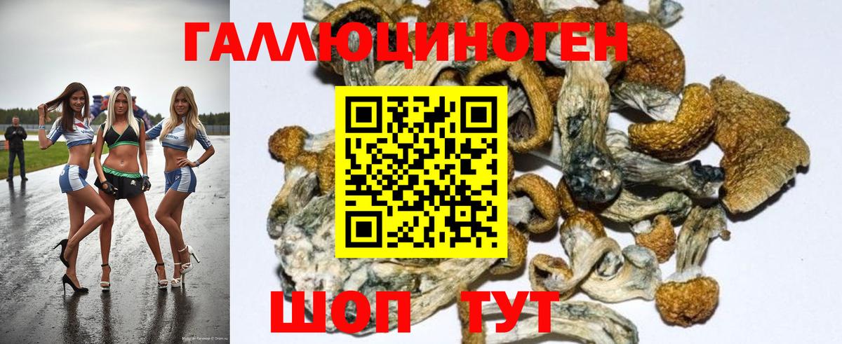 Среднеуральск  Псилоцибиновые грибы Magic Shrooms  Вход с VPN  Псилоцибиновые грибы Magic Shrooms 